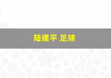 陆建平 足球